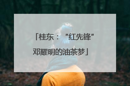 桂东：“红先锋”邓耀明的油茶梦