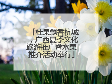 桂果飘香杭城，广西夏季文化旅游推广暨水果推介活动举行