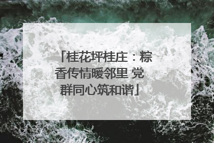 桂花坪桂庄：粽香传情暖邻里 党群同心筑和谐