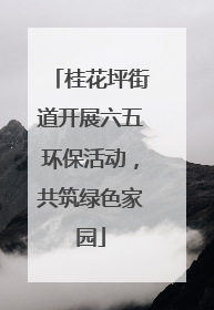 桂花坪街道开展六五环保活动，共筑绿色家园