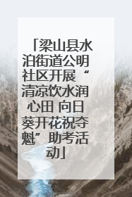 梁山县水泊街道公明社区开展“清凉饮水润心田 向日葵开花祝夺魁”助考活动