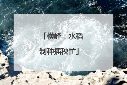 横峰：水稻制种插秧忙