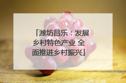 潍坊昌乐：发展乡村特色产业 全面推进乡村振兴