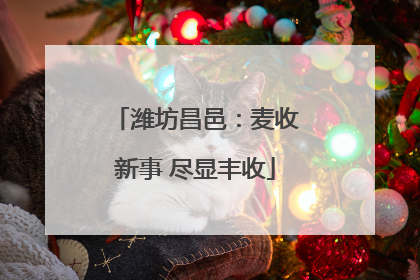 潍坊昌邑：麦收新事 尽显丰收