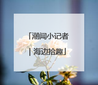 潮闻小记者｜海边拾趣