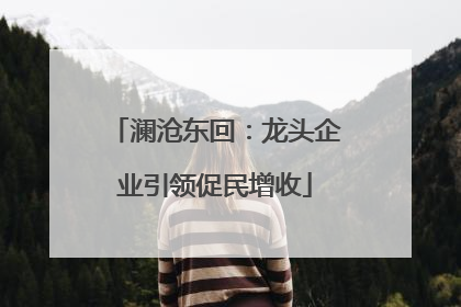 澜沧东回：龙头企业引领促民增收