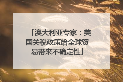 澳大利亚专家：美国关税政策给全球贸易带来不确定性