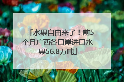 水果自由来了！前5个月广西各口岸进口水果56.8万吨
