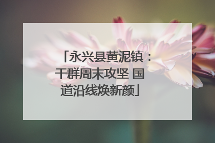 永兴县黄泥镇：干群周末攻坚 国道沿线焕新颜