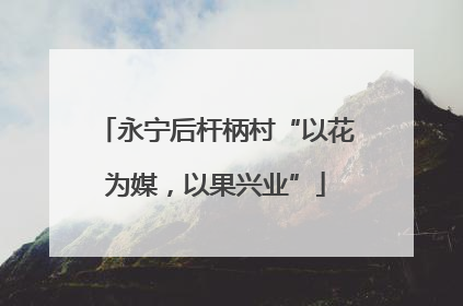 永宁后杆柄村“以花为媒，以果兴业”