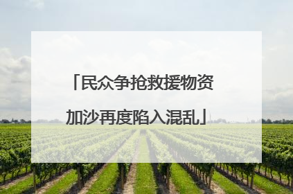 民众争抢救援物资 加沙再度陷入混乱