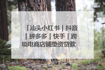汕头小红书｜抖音｜拼多多｜快手｜跨境电商店铺垫资贷款企业-漫商易