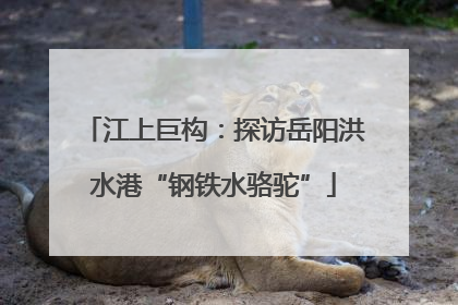 江上巨构：探访岳阳洪水港“钢铁水骆驼”