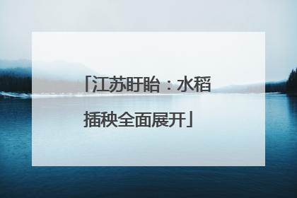 江苏盱眙：水稻插秧全面展开