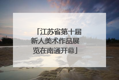 江苏省第十届新人美术作品展览在南通开幕