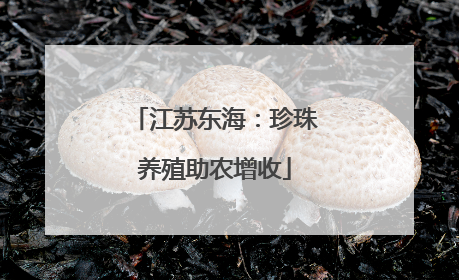 江苏东海：珍珠养殖助农增收