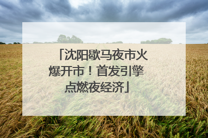 沈阳歇马夜市火爆开市！首发引擎点燃夜经济