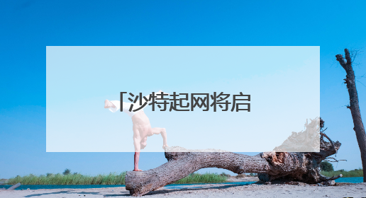 沙特起网将启用自营模式？京东物流回应