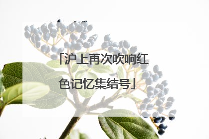 沪上再次吹响红色记忆集结号