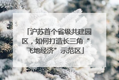 沪苏首个省级共建园区，如何打造长三角“飞地经济”示范区