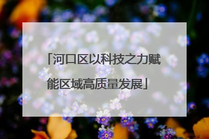 河口区以科技之力赋能区域高质量发展