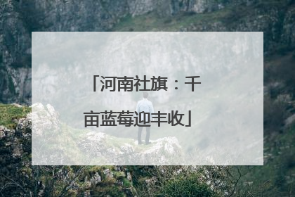 河南社旗：千亩蓝莓迎丰收