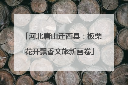 河北唐山迁西县：板栗花开飘香文旅新画卷