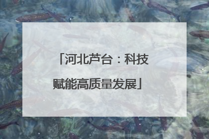 河北芦台：科技赋能高质量发展