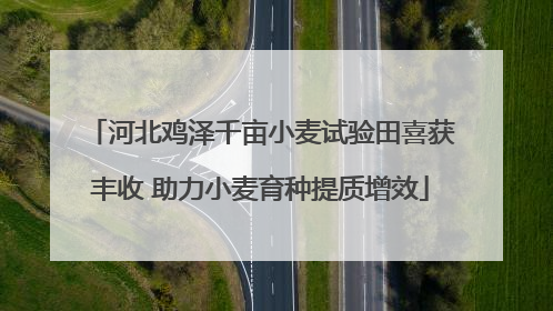河北鸡泽千亩小麦试验田喜获丰收 助力小麦育种提质增效