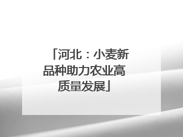 河北：小麦新品种助力农业高质量发展
