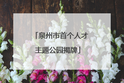 泉州市首个人才主题公园揭牌