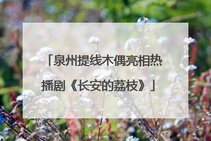 泉州提线木偶亮相热播剧《长安的荔枝》