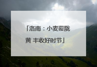 洛南：小麦覆陇黄 丰收好时节