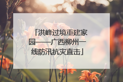 洪峰过境重建家园——广西柳州一线防汛抗灾直击