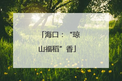 海口：“琼山福稻”香