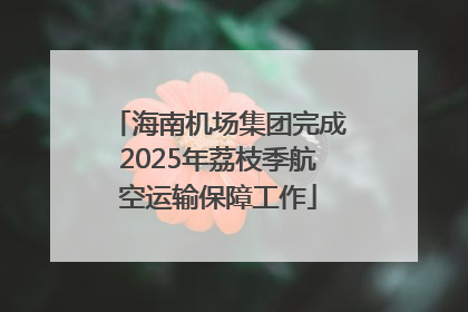 海南机场集团完成2025年荔枝季航空运输保障工作