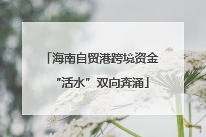 海南自贸港跨境资金“活水”双向奔涌