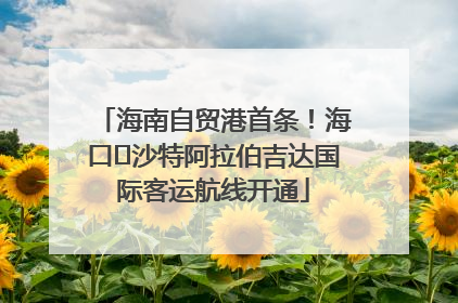 海南自贸港首条！海口⇌沙特阿拉伯吉达国际客运航线开通