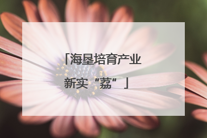 海垦培育产业新实“荔”