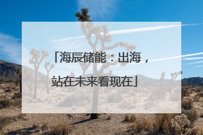 海辰储能：出海，站在未来看现在