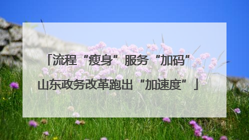 流程“瘦身”服务“加码” 山东政务改革跑出“加速度”
