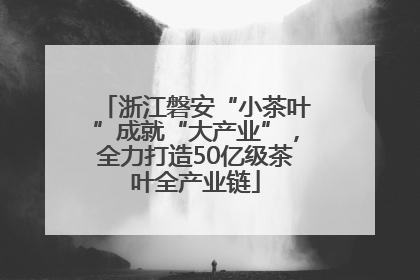 浙江磐安“小茶叶”成就“大产业”，全力打造50亿级茶叶全产业链