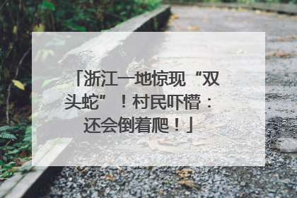 浙江一地惊现“双头蛇”！村民吓懵：还会倒着爬！