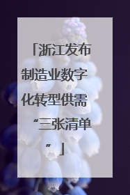 浙江发布制造业数字化转型供需“三张清单”