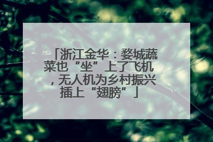 浙江金华：婺城蔬菜也“坐”上了飞机，无人机为乡村振兴插上“翅膀”