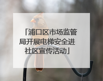 浦口区市场监管局开展电梯安全进社区宣传活动