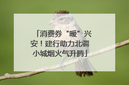 消费券“暖”兴安！建行助力北疆小城烟火气升腾
