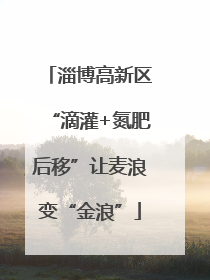 淄博高新区“滴灌+氮肥后移”让麦浪变“金浪”