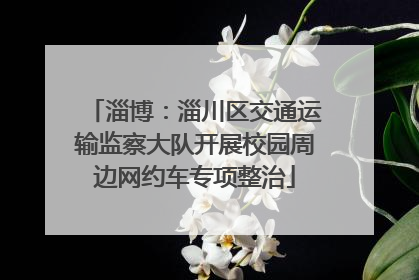 淄博：淄川区交通运输监察大队开展校园周边网约车专项整治