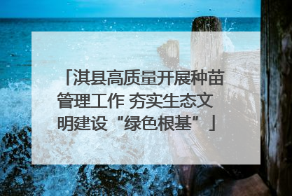 淇县高质量开展种苗管理工作 夯实生态文明建设“绿色根基”